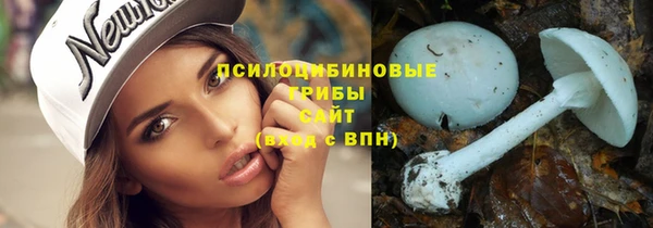 крисы Нефтегорск